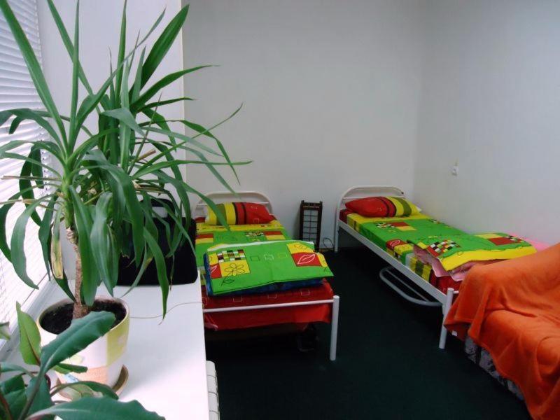 كييف Hostel Kreshatik الغرفة الصورة